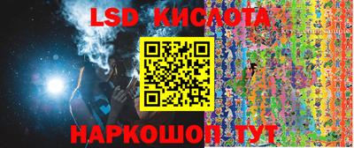 гидропоника Пенза