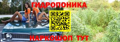 гидропоника Пенза