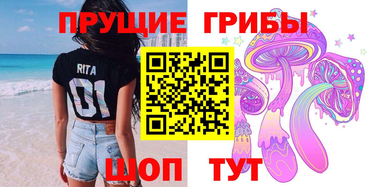 Тамбов  Псилоцибиновые грибы Cubensis  Вход с VPN 