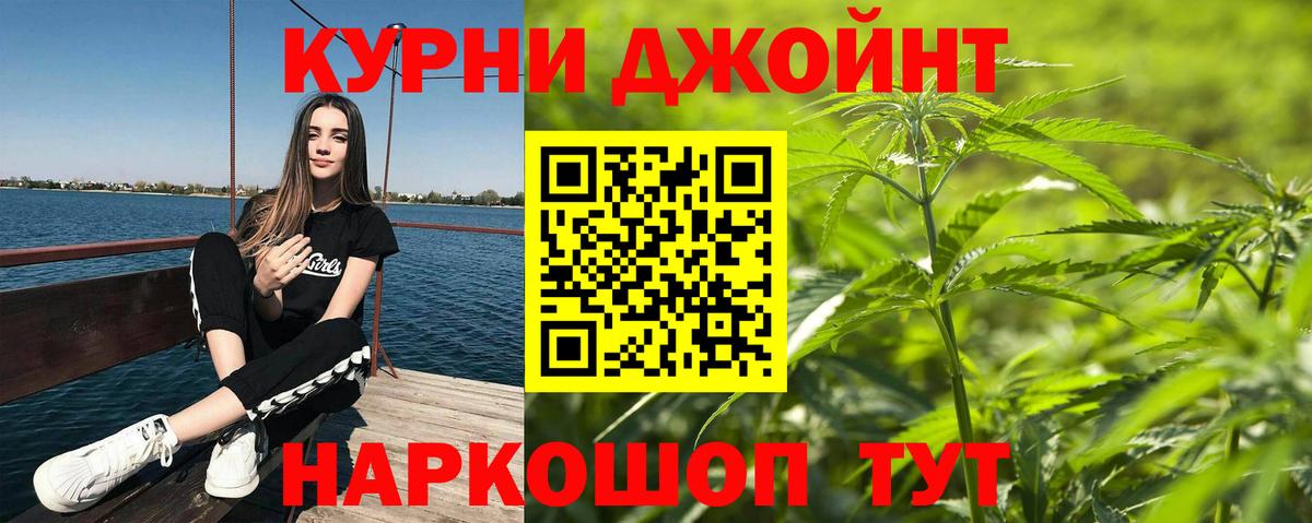 Бошки Шишки ГИДРОПОН Тамбов